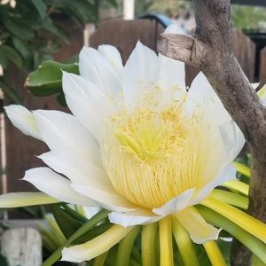 Meet your Posher, Esther